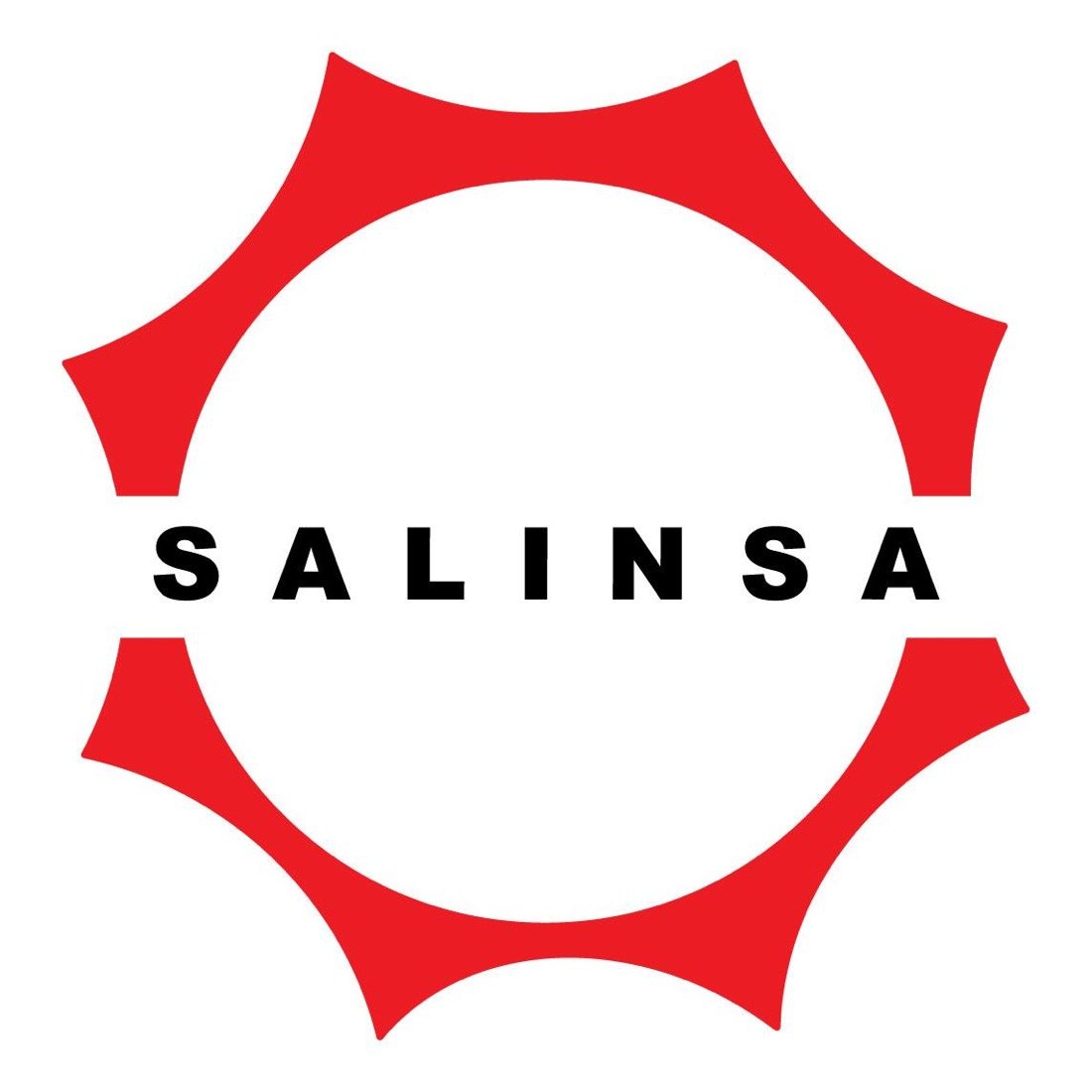 Logotipo SALINSA